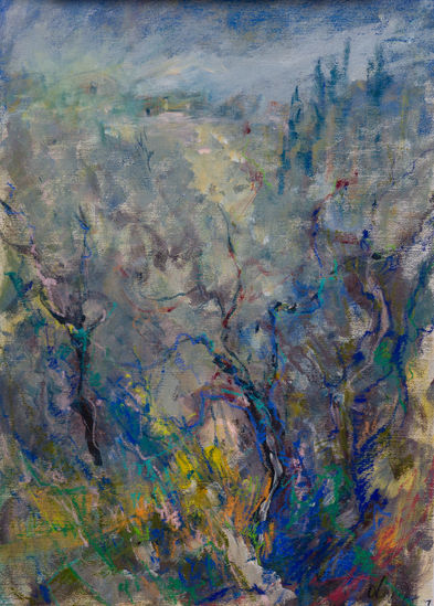 Ölbaumhain in der Toskana