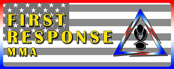 Secondary Logo