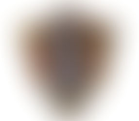 House Orlock The House of Iron