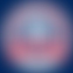 Discover Unique Merchandise at Middleburgh Township's America 250 Store