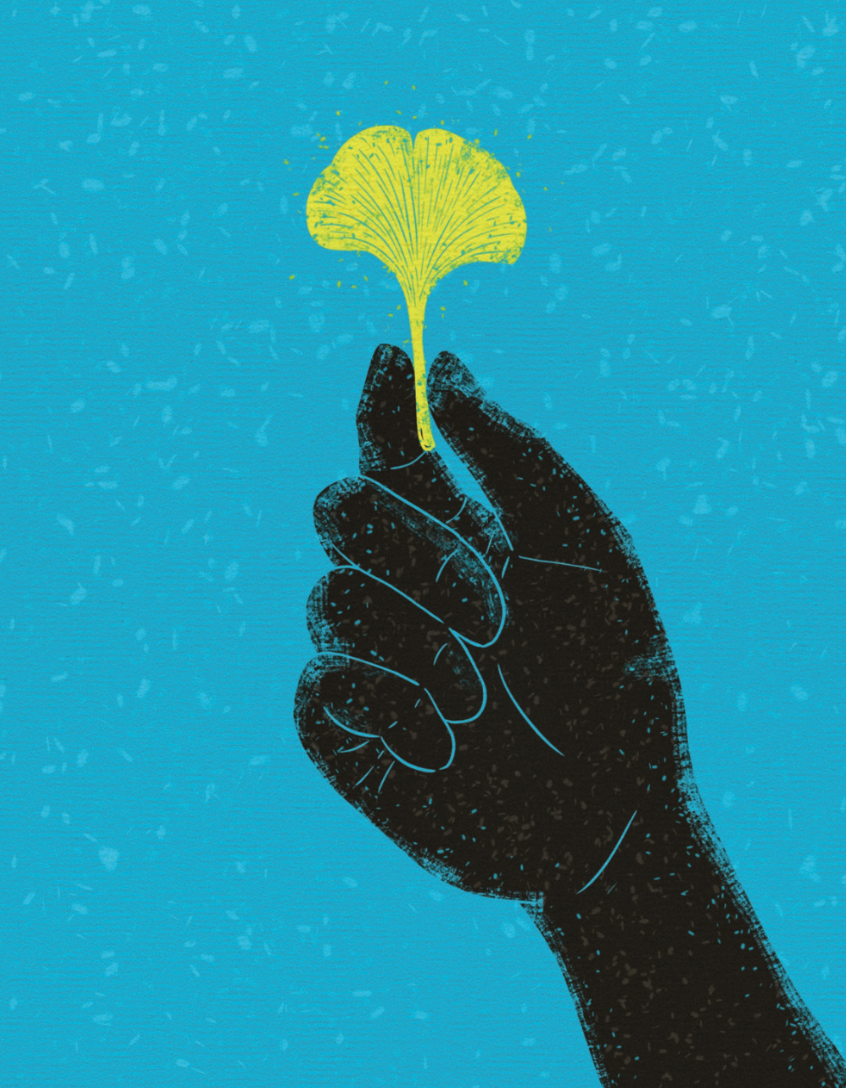 Plüton Dergi On Üçüncü Sayısıyla Yörüngede Salınıyor!