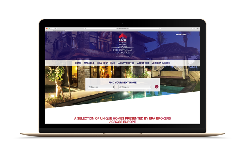 WEBSITE DESIGN