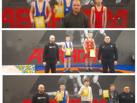 Чемпіонат Чернігівської області з вільної боротьби 