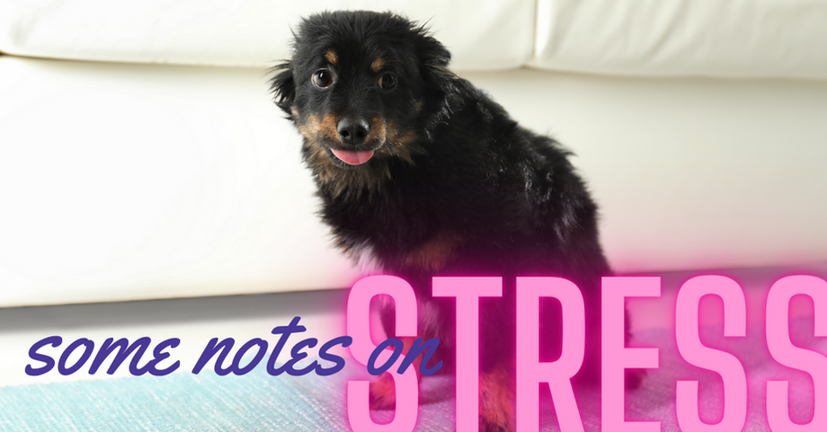 Some Notes on Stress
