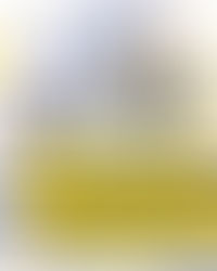 📣 Sospensione attività per festa del patrono 📣