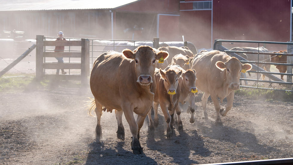 CC83B6F0-60CB-4514-A9B8-6F48F367D1F7