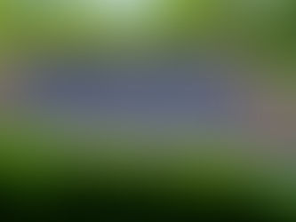 Where to Get Reliable Solar Panel Repair in Palm Beach County