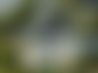 Solar Incentives and Rebates in Port St. Lucie