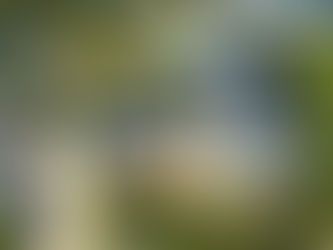 How to Prepare Your Home for Solar Panel Installation in Port St. Lucie