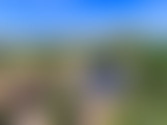 How Much Can You Save With Solar in Palm Beach Gardens?