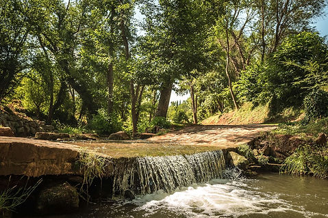 OLIVIER EMRAN-L1040370 copie.jpg