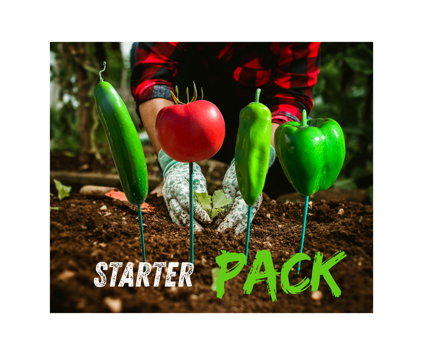 Starter Pack - plant labels, garden markers, seed markers, shop garden labels
