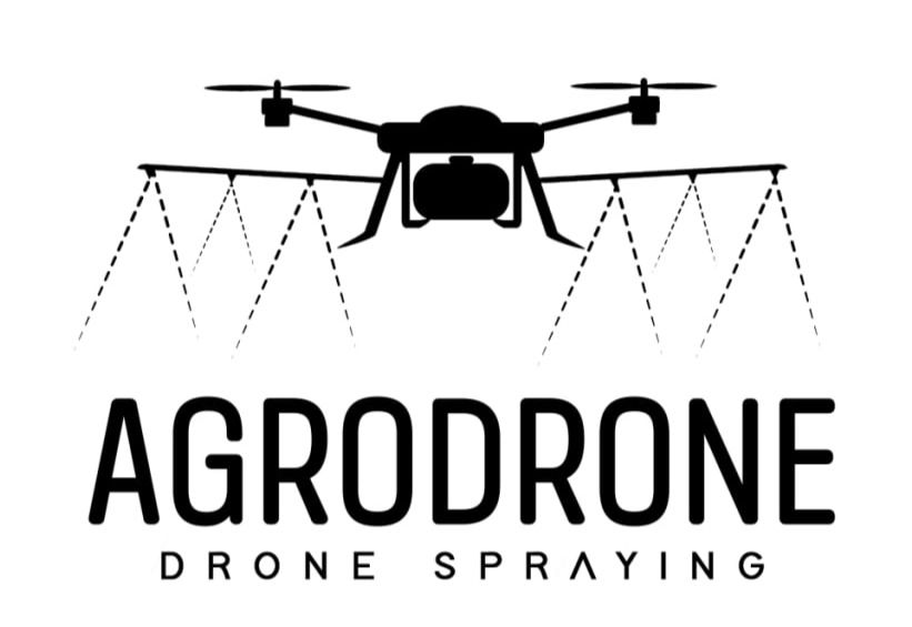 Dashboards, Power BI