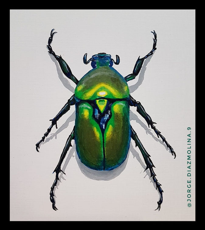 WhatsApp Image 2022-09-25 at 12.11.53 AM (3).jpeg