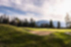 Golf Carts