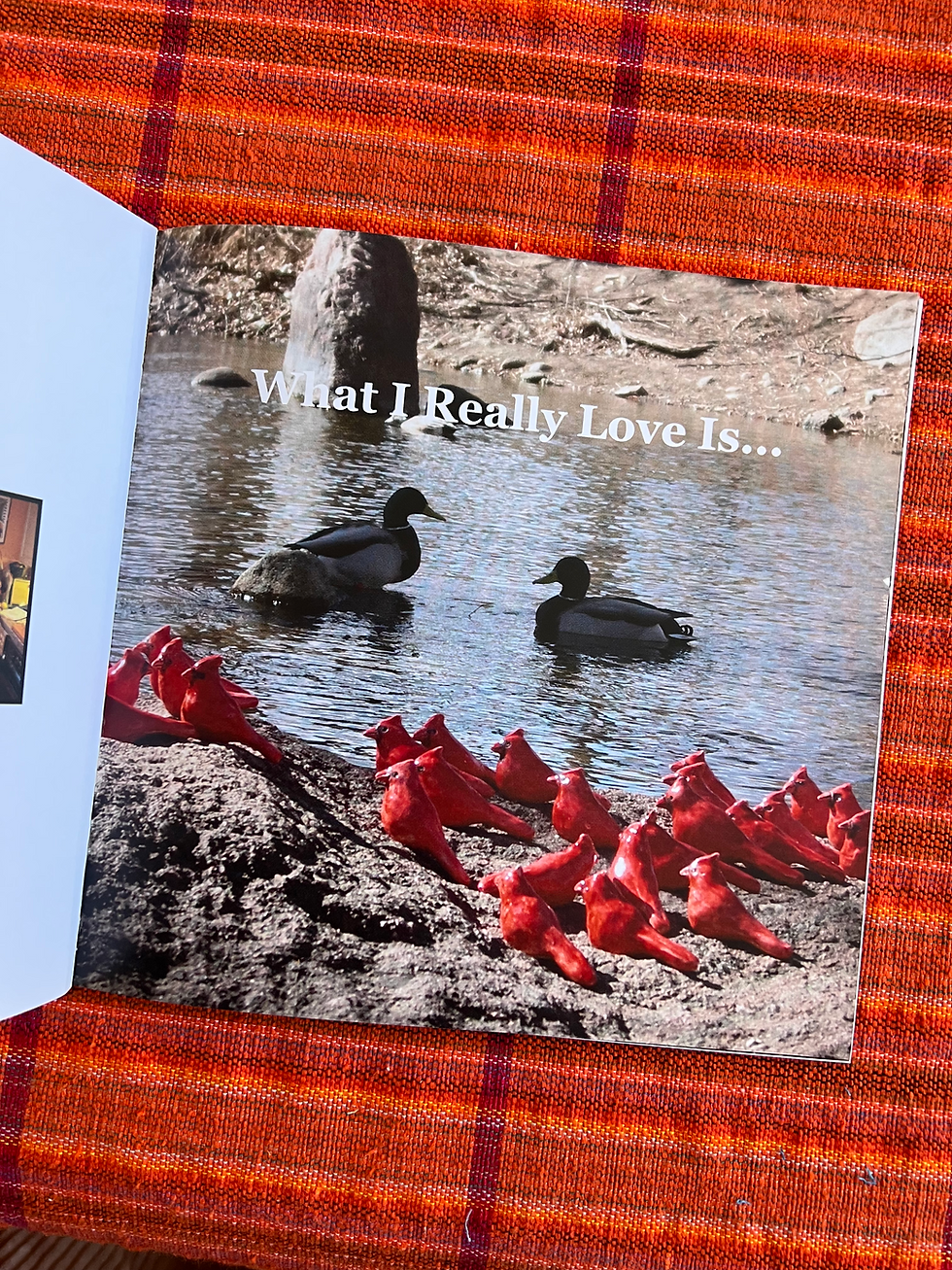 Thumbnail: Hard Cover Love Birds Book (Physical)