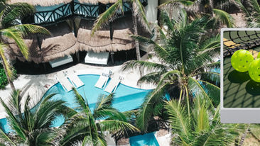 PICKLE in Paradise (Nov) 