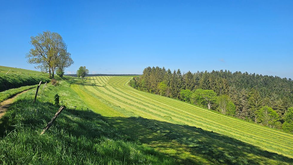 Pilgern auf der Via Gebennensis:                     Les Setoux - Montfalcon-en-Velay