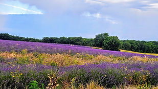 20260620_071913kl.jpg