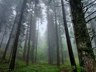 Aufstieg zum Col de Mont Tournier