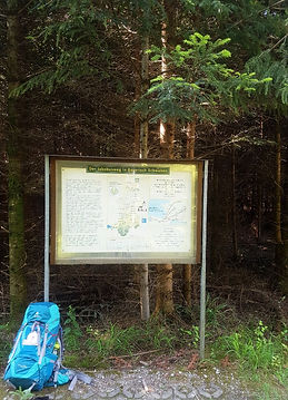 20210628_095923_edited.jpg