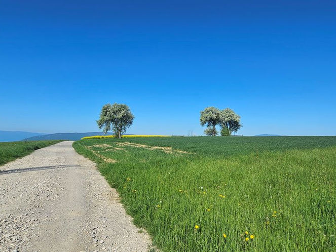 Charly - Frangy: Pilgern auf der Via Gebennensis Etappe 3