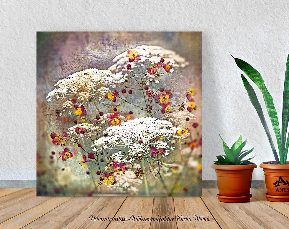 Miniaturbild: Carota karottenblüten herbstanemonen leinwandbild wandbild landhausstil vintage style shabby chic günstig kaufen