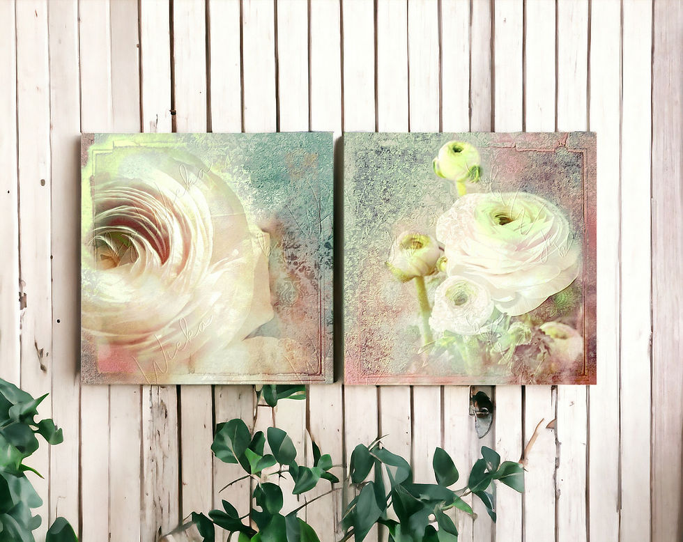 Blumen Runkelblüten 2er set paar wandbild vintage style shabby chic landhausstil nostalgisch wanddeko leinwandbild kaufen