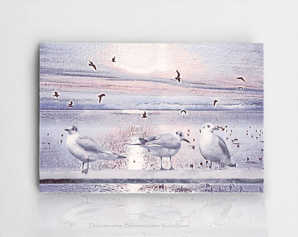 Miniaturbild: maritmes wandbild möwen meer ostsee nordsee wanddeko landhausstil shabby chic pastell leinwandbild kunstdruck holzbild kaufen