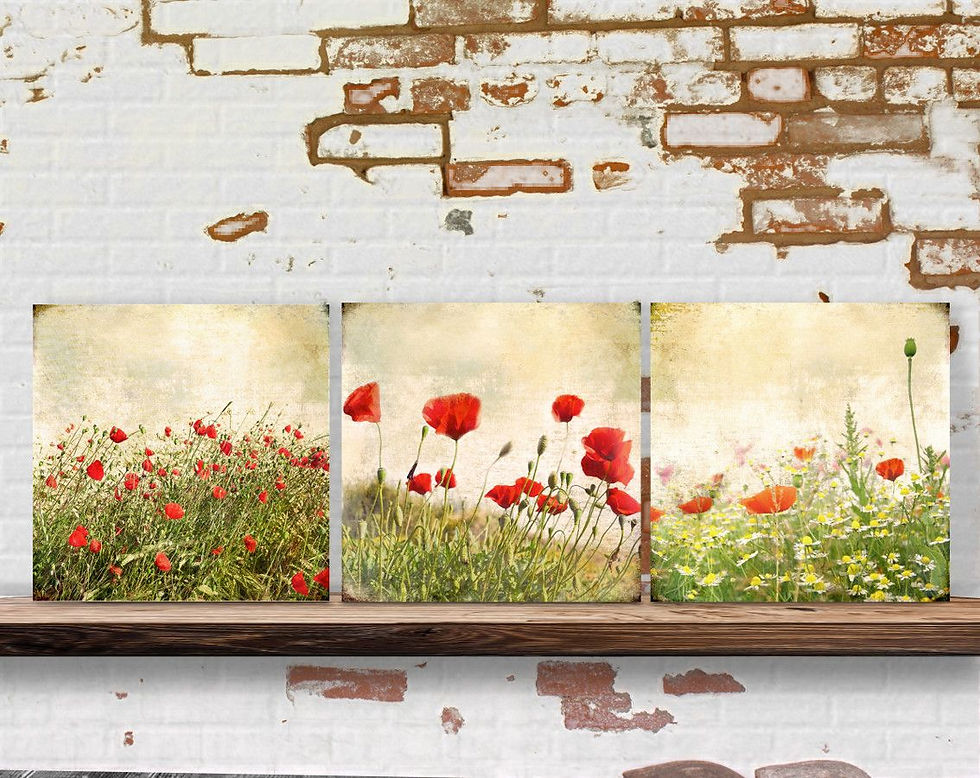 Miniaturbild: MOHNBLUMEN Wiese Triptychon Wandbild Holzbild Leinwandbild Kunstdruck Wanddeko Landhausstil Shabby Chic Vintage Style kaufen