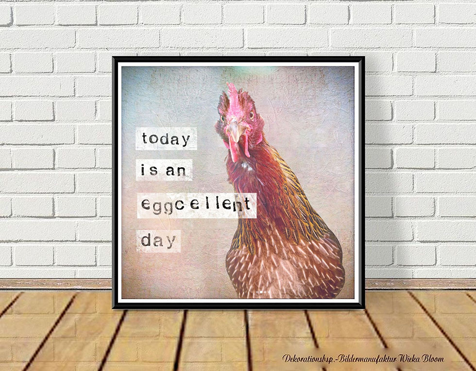 Miniaturbild: wandbild mit huhn hahn mit lustigem spruch eggcellent im shabby landhausstil fineartprint poster günstig kaufen
