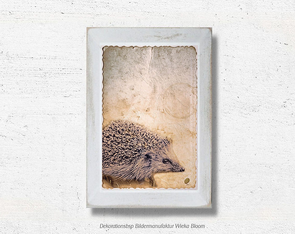 Miniaturbild: igel ameise waldtiere wandbild im shabby chic vintage style als leinwandbild fineartprint poster holzdruck günstig kaufen