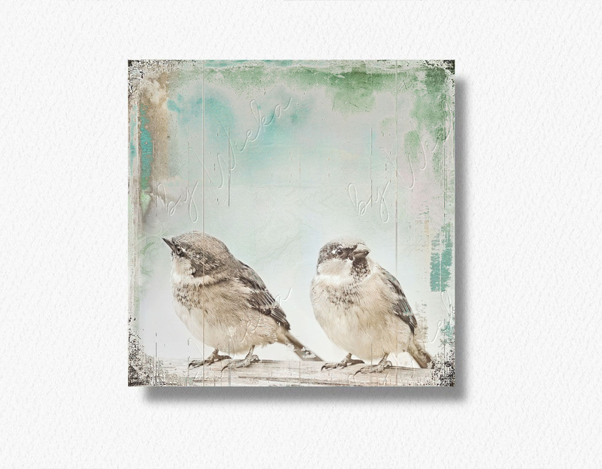 SPATZENPAAR Wandbild kleine Vögel Vintage Style Shabby Chic Landhausstil Leinwandbild Holzbild Kunstdruck günstig kaufen