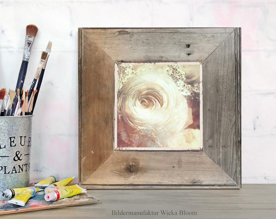ranunkelblüte nostalgisches wandbild sephia vintage style shabby chic landhausstil geschenk günstig kaufen kunstdruck poster