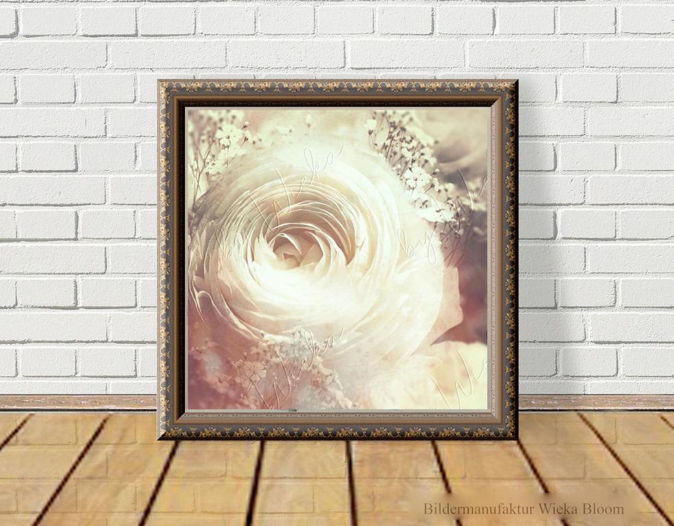 Miniaturbild: ranunkelblüte nostalgisches wandbild sephia vintage style shabby chic landhausstil bild geschenk günstig kaufen kunstdruck