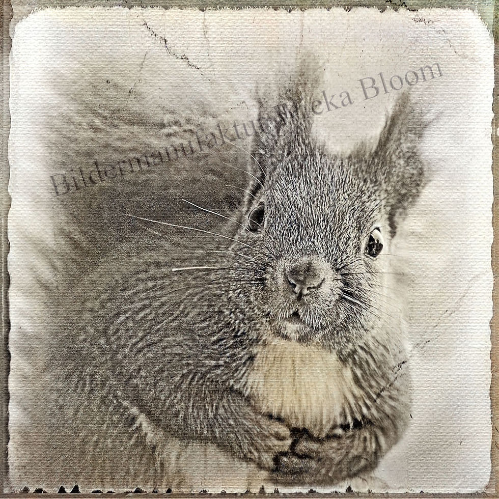 Miniaturbild: eichhörnchen waldtiere, wandbild im vintage landhausstil als leinwandbild kunstdruck holzdruck handmade kaufen
