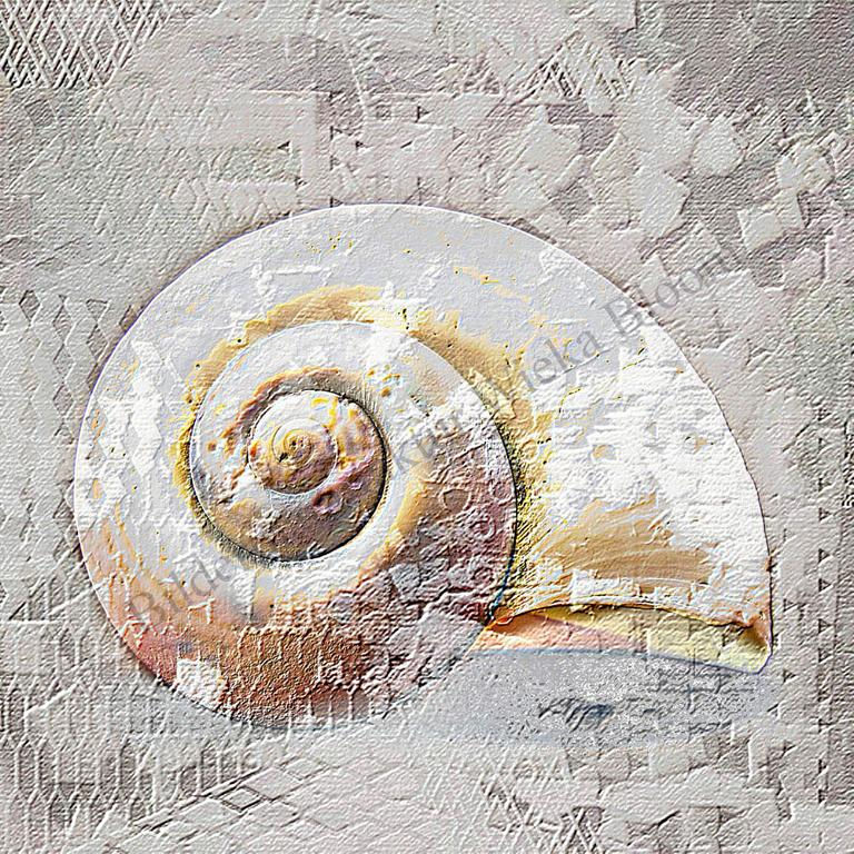 Miniaturbild: schneckenhaus wanddeko schabby chic landhausstil als leinwandbild holzdruck poster günstig kaufen