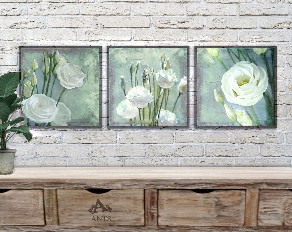 lisianthus weiße blumen wandbild landhausstil shabby vintage style leinwandbild holz deko bild fineartprint günstig kaufen