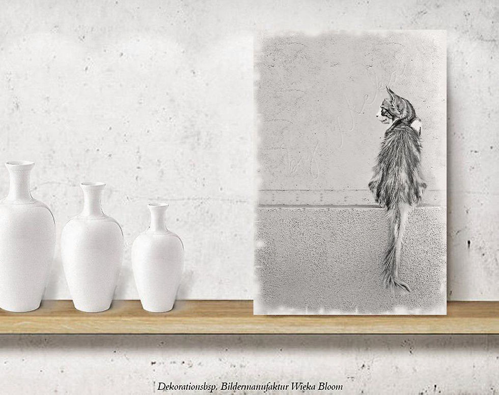 Miniaturbild: katze auf mauer monochrom schwarz weiß shabby chic vintage style landhausstil auf holz holzdruck leinwandbild  günstig kaufen