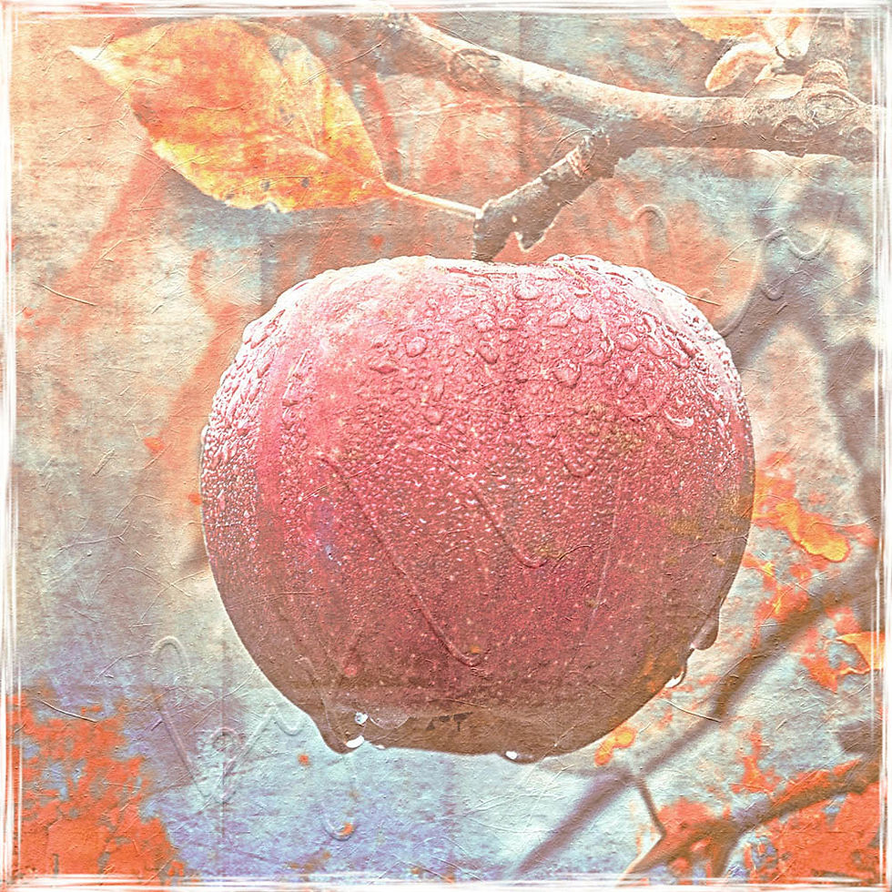 Miniaturbild: herbstzeit wandbild apfel wanddeko im shabby chic  landhausstil günstig kaufen
