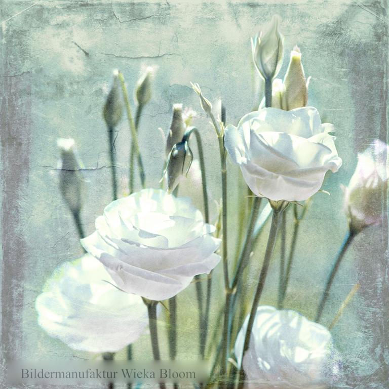Miniaturbild: lisianthus weiße blumen wandbild landhausstil shabby vintage style leinwandbild holz deko bild fineartprint günstig kaufen