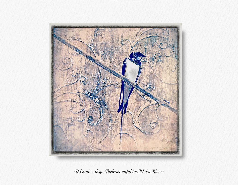 Vogel schwalbe flügeltiere wandbild holzbild leinwandbild Fineartprint shabby chic vintage style wanddeko günstig kaufen