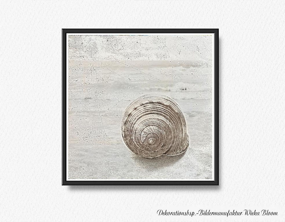 Schneckenhaus maritimes Wandbild kunstdruck poster wanddeko Landhausstil Shabby Chic Vintage Style monochrom günstig kaufen