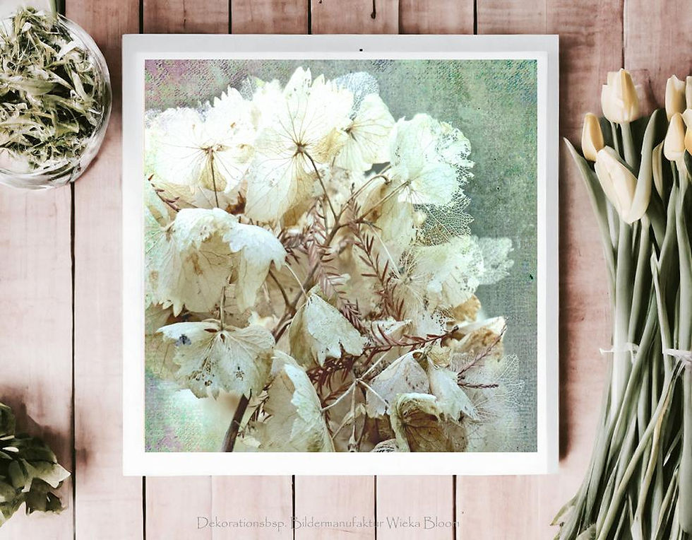 hortensie blumen blüten fineartprint kunstdruck holzdruck landhausstil shabby chic vintage style handmade günstig kaufen