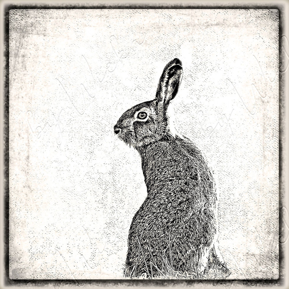 Miniaturbild: wandbild vintage style nostalgisch sephia hase waldtiere bildermanugaktur wieka bloom vintageart