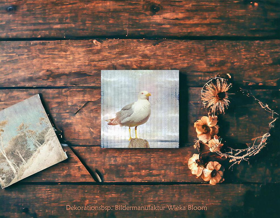 Miniaturbild: ostseeliebe möwe auf pfahl maritimes wandbild holzdruck bild auf holz im shabby chic landhausstil handmade ostgünstig kaufen