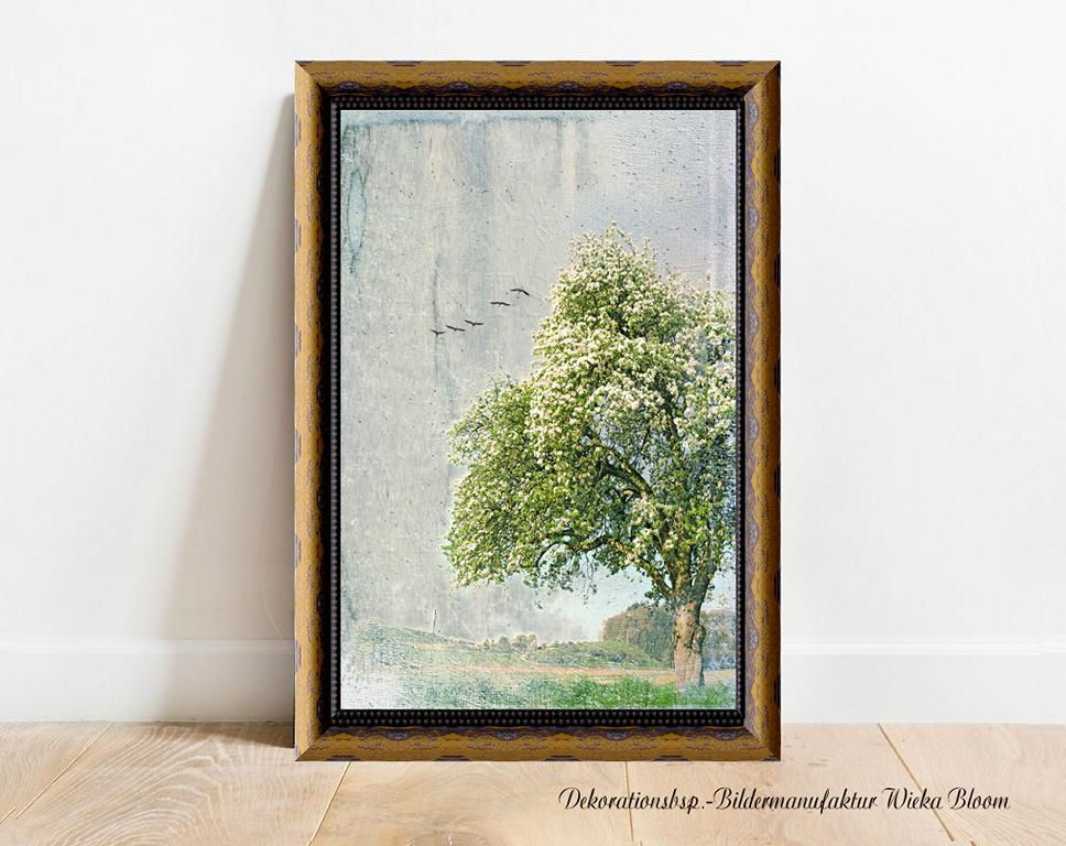 Miniaturbild: wandbild apfelbaum im frühling baumblüte landschaft im shabby chic vintage style landhausstil, wanddeko wohnzimmer schlfzimmer büro handmade online günstig kaufen, kunstdruck poster kaufen