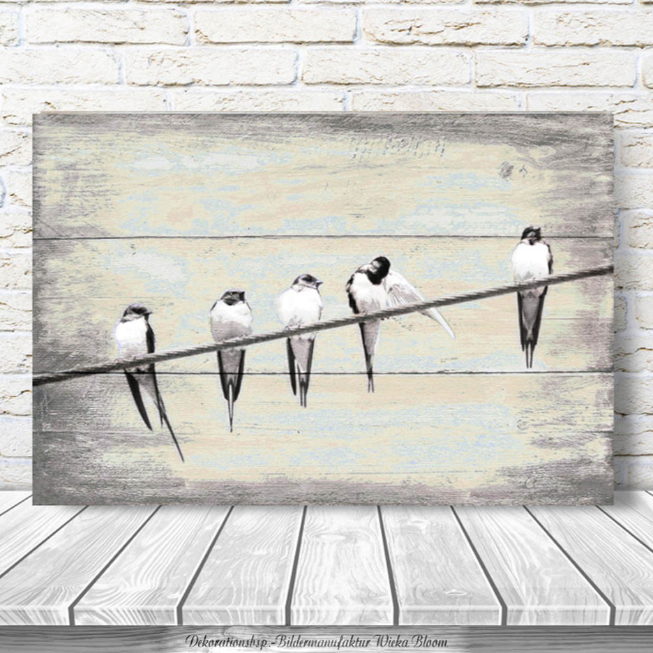 Schwalben wandbild flügeltiere vögel landhausstil vintagestyle shabbychic wanddeko holzbild leinwandbild kunstdruck kaufen