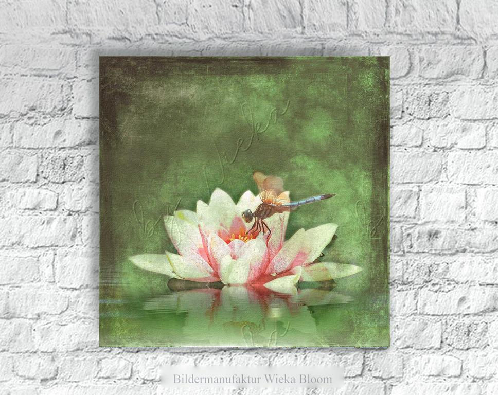 Miniaturbild: flügeltiere, leinwandbild libelle auf seerose im vintage style, shabby style