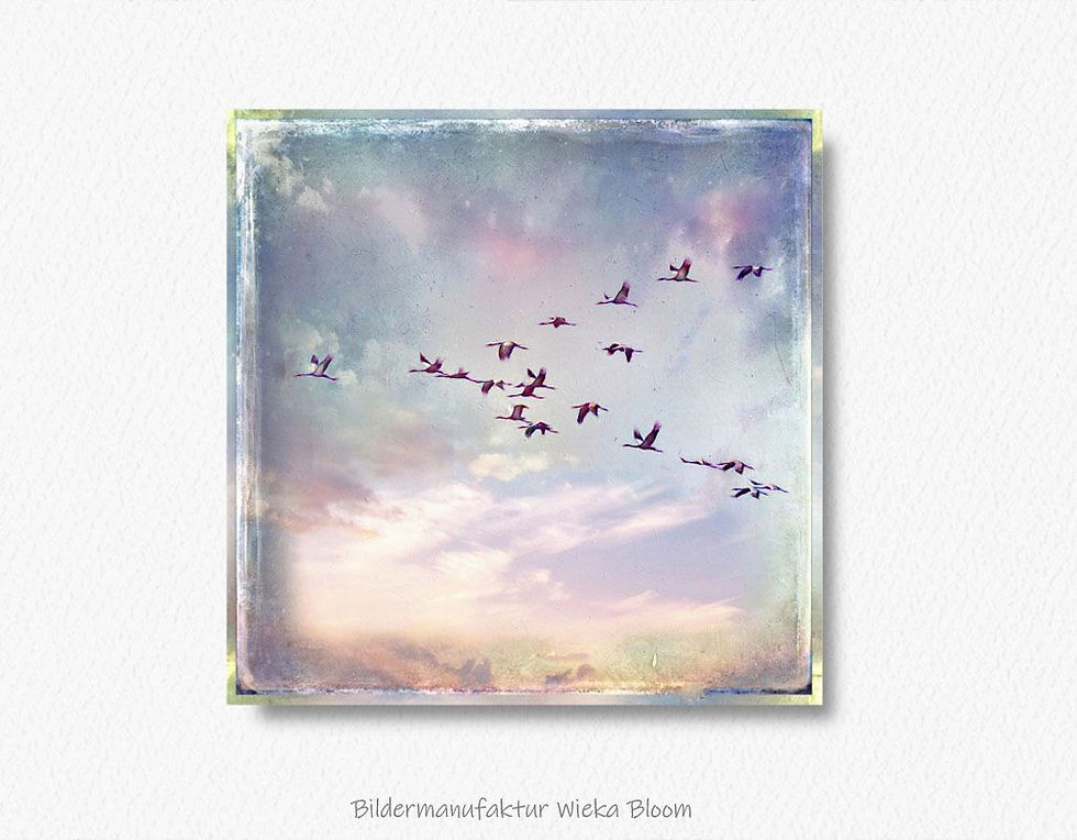 Kraniche romantisches wandbild im shabby chic landhausstil als leinwandbild holzdruck oder Kunstdruck günstig kaufen